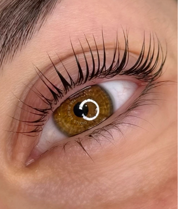 Formation REHAUSSEMENT DE CILS